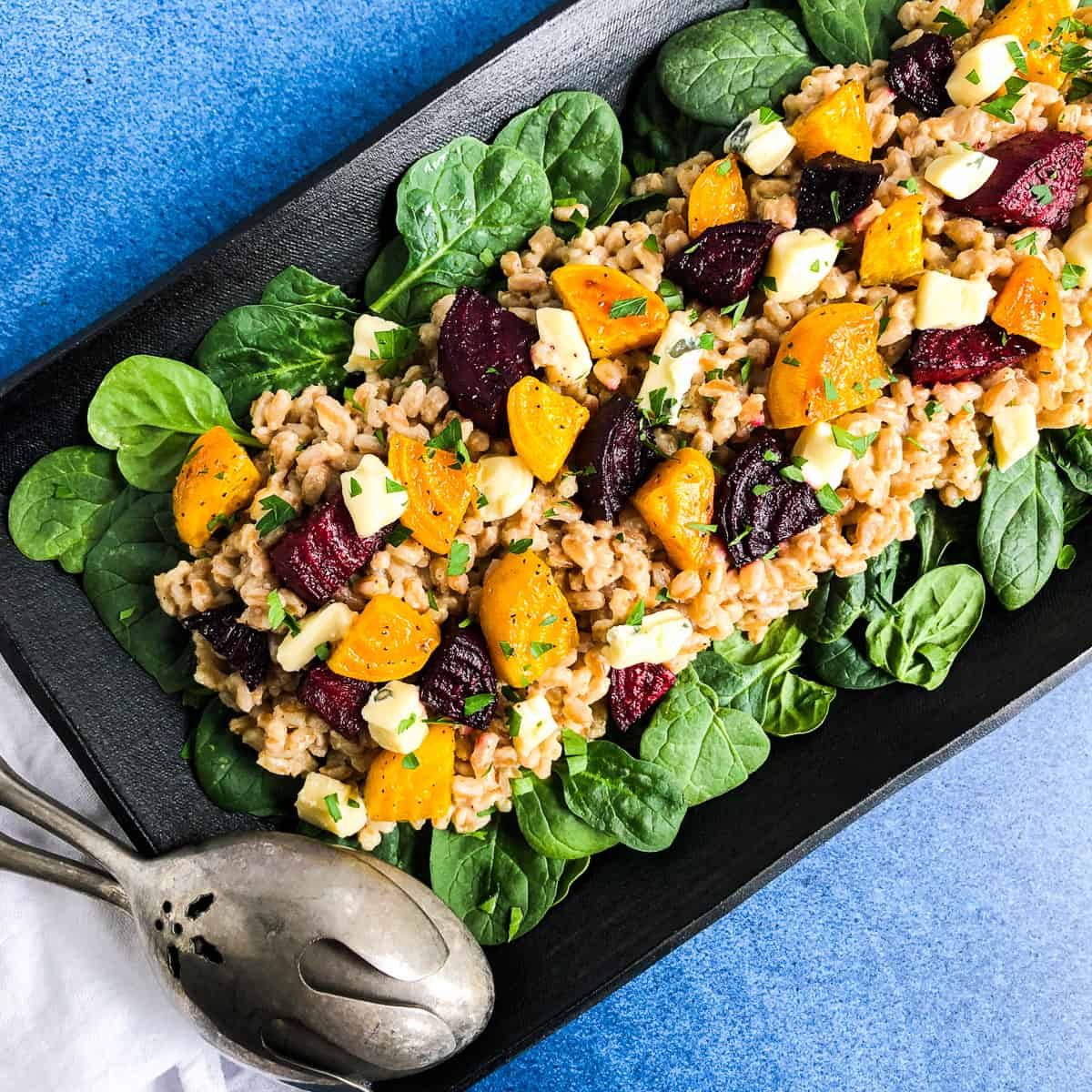 Overhead view of Farro Salad plated over spinach and topped with roasted beets and cambozola cheese.